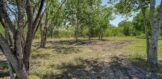 52back yard copy