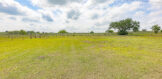 22 Back yard
